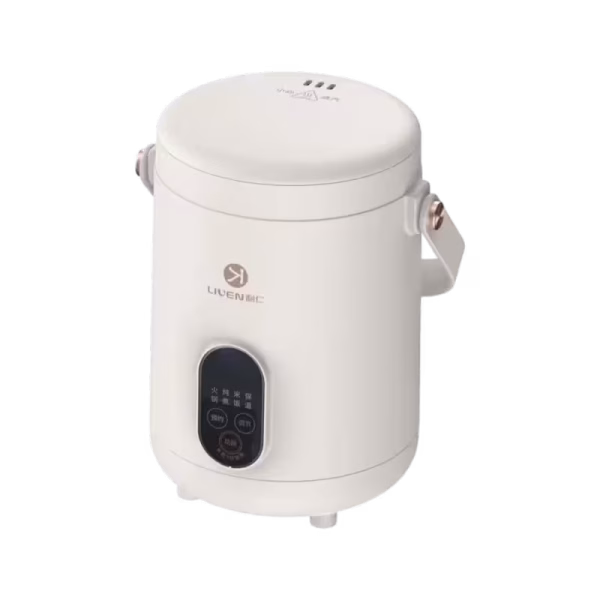 LIVEN Stainless Steel Slow Cooker (DDG-D1216)